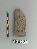 藏品(磨製石錛)的圖片